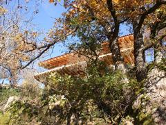 dojo_04.jpg